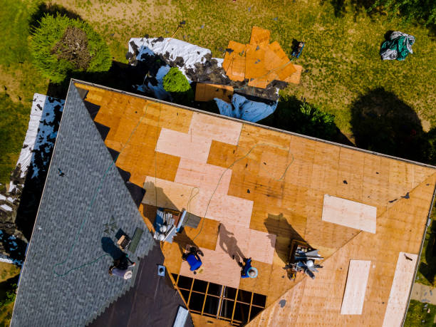 Best New Roof Installation  in University City, MO